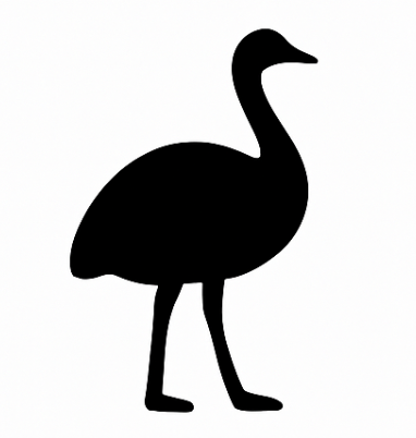 EMU OIL